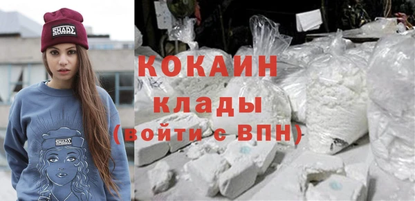 прущие грибы Вязьма